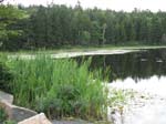 AcadiaNP -130