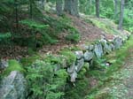 AcadiaNP -142-1