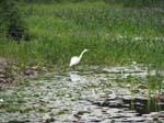 AcadiaNP -149