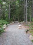 AcadiaNP-hike -008