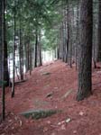 AcadiaNP-hike -072-1