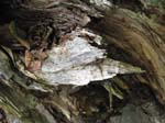 AcadiaNP-hike -077