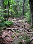 AcadiaNP-hike -078-1
