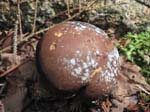 AcadiaNP-hike -082