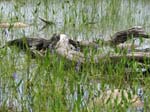 AcadiaNP-hike -087