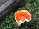 AcadiaNP-hike -091-1