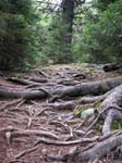 AcadiaNP-hike -094-1
