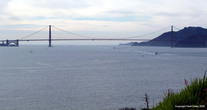 Bridge