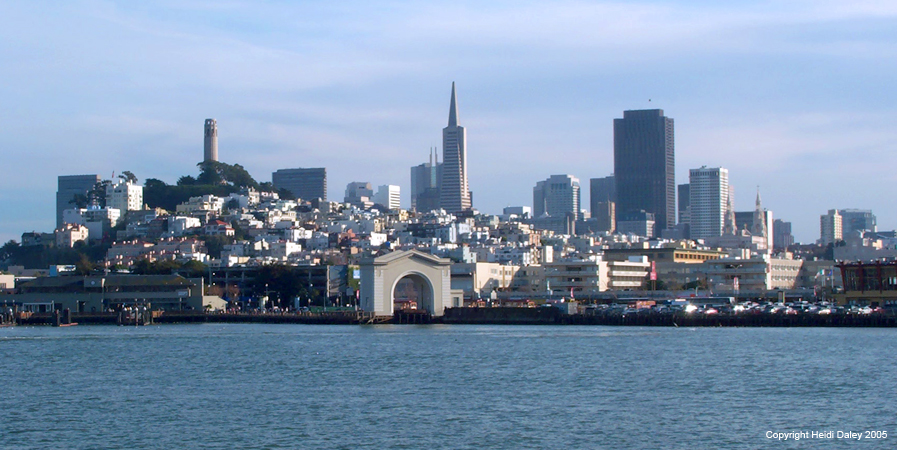 Sanf Fran 1