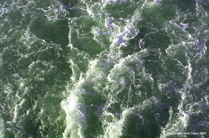 Water