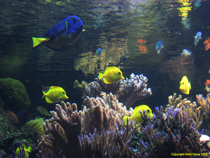 IMG_7814 copy