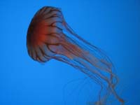 IMG_7757