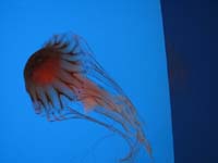 IMG_7758