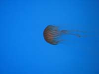 IMG_7759