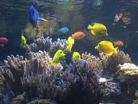 IMG_7815 copy