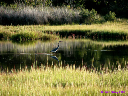 Heron3