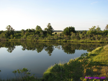 Marsh10