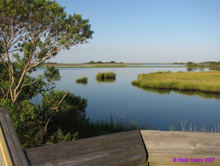 Marsh4