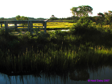 Marsh5