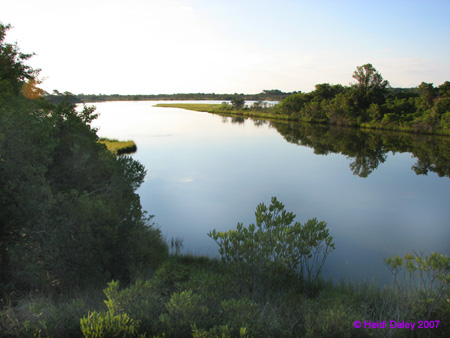 Marsh9