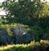 Heron1