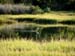 Heron2