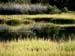 Heron3