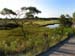 Marsh1