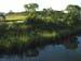Marsh6