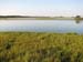 Marsh7