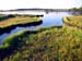 Marsh8