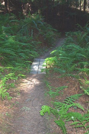 Path