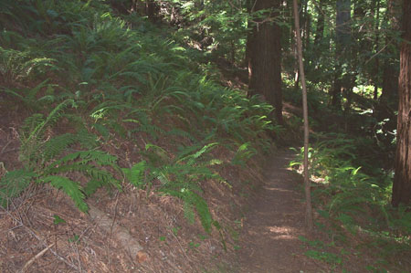 Path2