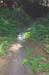 Path