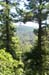 View1