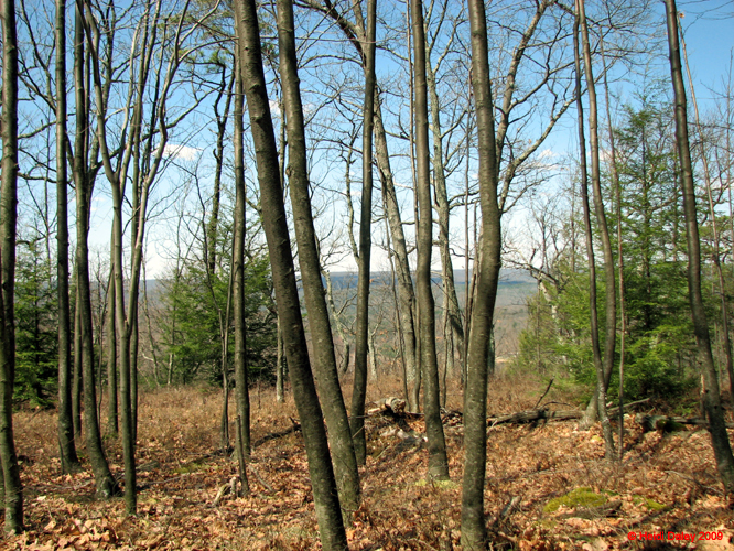 Buttermilk Falls - 4-9-09 -009-1