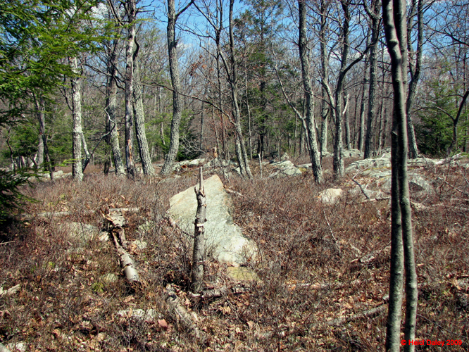Buttermilk Falls - 4-9-09 -012-1