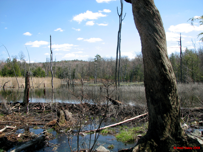 Buttermilk Falls - 4-9-09 -013-1