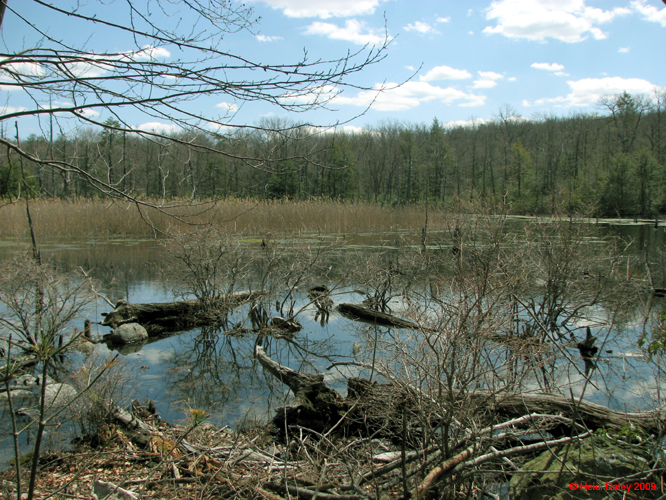 Buttermilk Falls - 4-9-09 -032-1