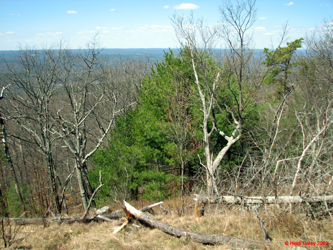 Buttermilk Falls - 4-9-09 -042-1