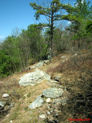 Buttermilk Falls - 4-9-09 -043-1