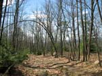 Buttermilk Falls - 4-9-09 -010-1