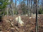 Buttermilk Falls - 4-9-09 -012-1