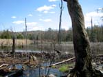 Buttermilk Falls - 4-9-09 -013-1
