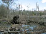 Buttermilk Falls - 4-9-09 -018-1