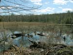 Buttermilk Falls - 4-9-09 -032-1
