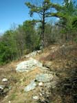 Buttermilk Falls - 4-9-09 -043-1