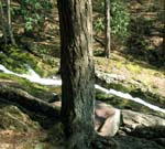 Buttermilk Falls - 4-9-09 -050-1