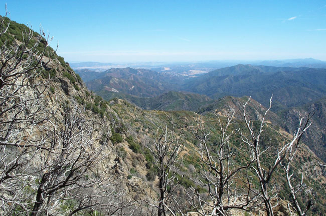 1999