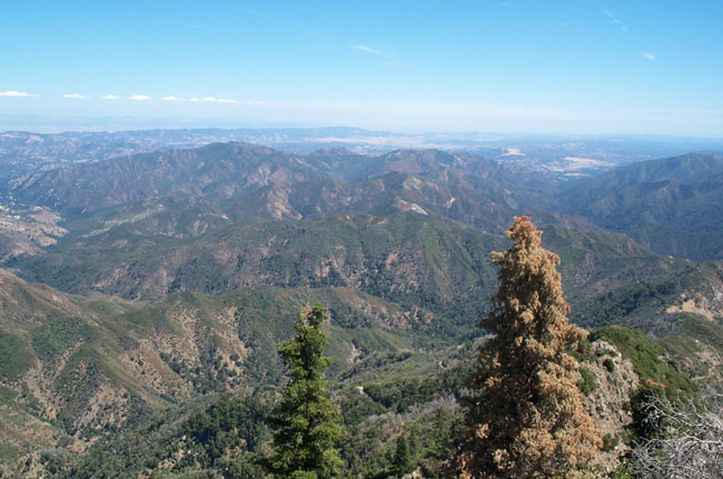Summit